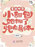 重回年代:小甜包她撕了炮灰剧本番外