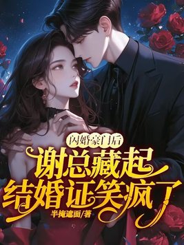 闪婚豪门engelchen无防盗